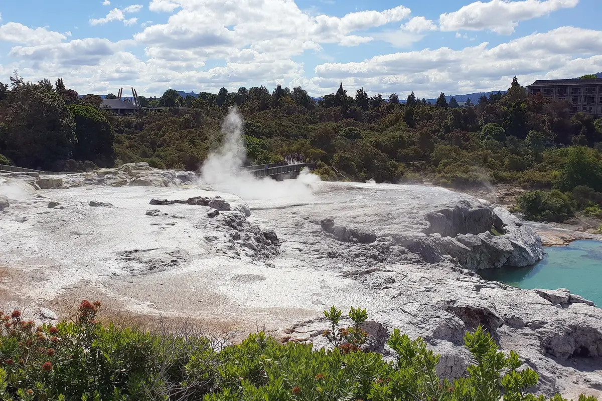 Steam rising from Pōhutu Geyser above a pale silica terrace, with turquoise water on the right and forest beyond